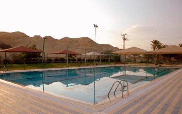 Korin's At the Dead Sea