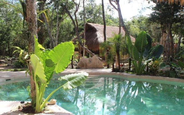 Casa Selva Orquideas