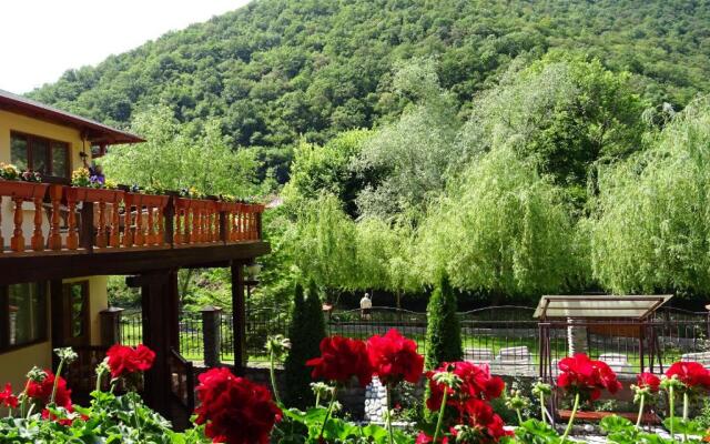 Pension Cuibul Viselor