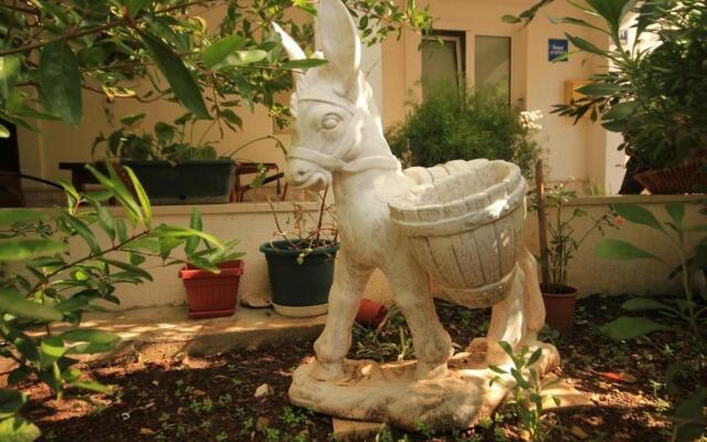 Zoki - Great Location Close to the sea - A1 Zeleni