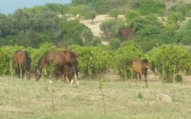 Agriturismo Vita e Natura