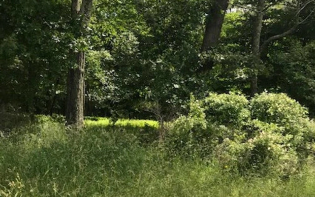 Tentrr - Parry's Orchard Camp