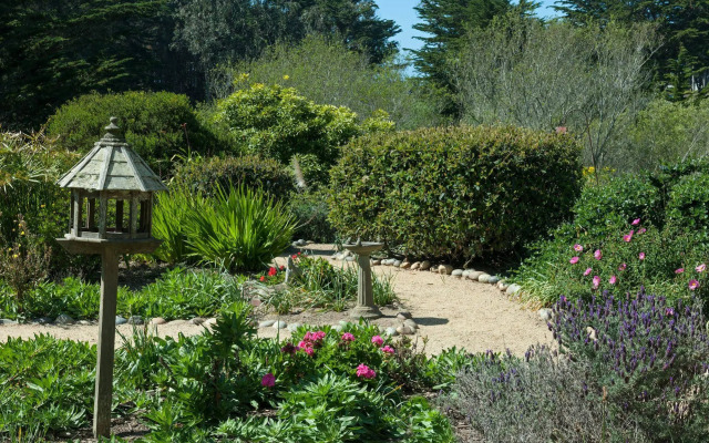 Seal Cove Inn