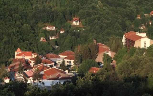Hotel Radan Prolom Banja