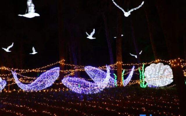 Romantic Coast Resort Maoming