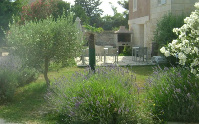 Gîtes Le Mas Guiraud