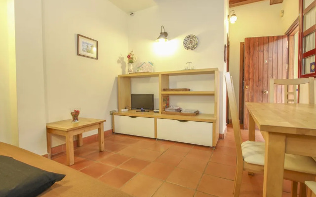 Deluxe apartment Arco de la Macarena