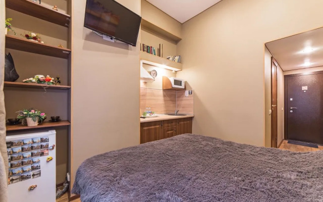 Апартаменты на Большом пр. П.С.