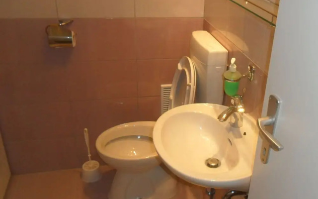 Apartment Iadera Central