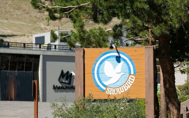 Spacious Condo with Full Kitchen - Steps Away from Summer Hiking and Biking Adventures! by RedAwning