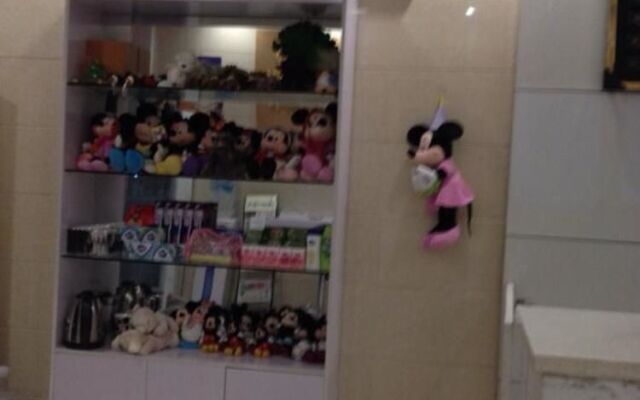 Hefei Mice @ Culture Hotel