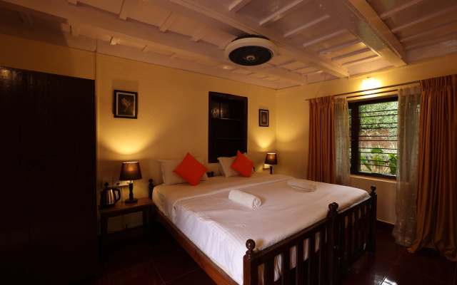 Avadale Coorg Stag - Groups Not Allowed