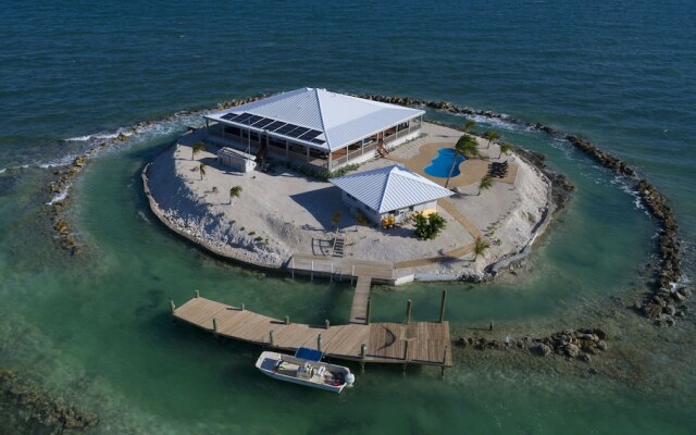 Friendsgiving Island