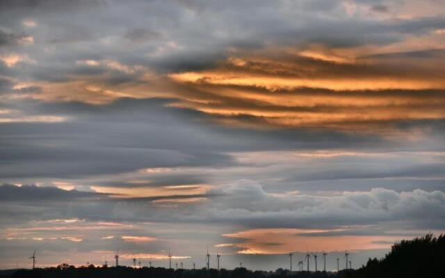 Berolina Wohnung C 309