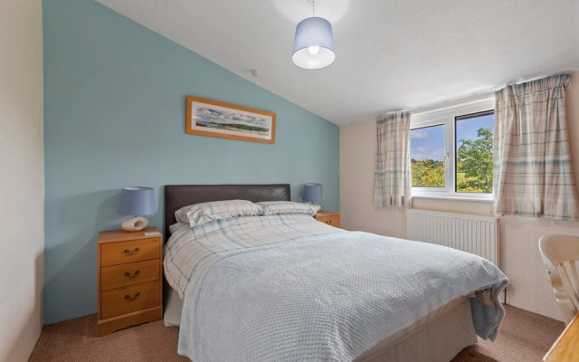 Clover at Gorslwyd - Sound Retreat