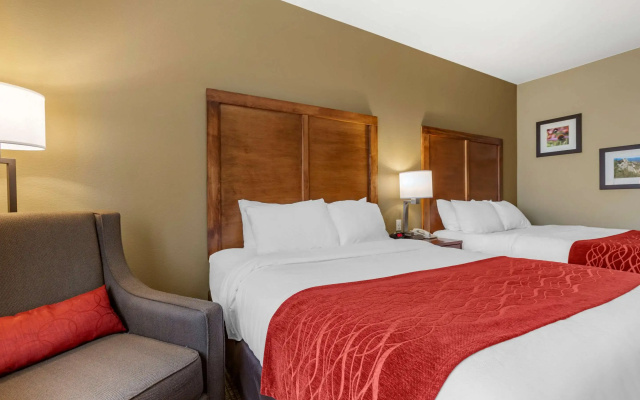 Comfort Inn & Suites Near Mt. Rushmore