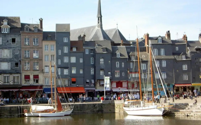 Adonis Honfleur