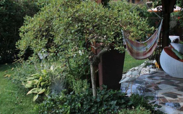 Homestay Sreš