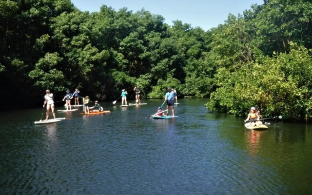 Super Studio en résidence face à la plage