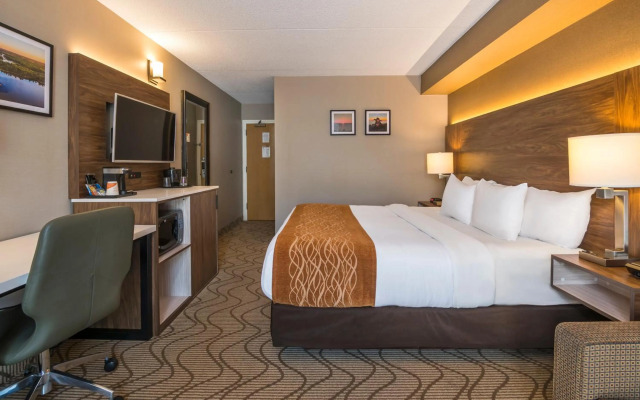 Comfort Inn Lakeshore