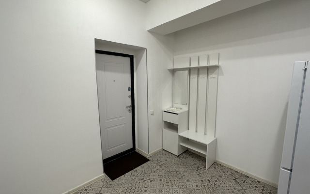 Баринн на улице Федота Шубина