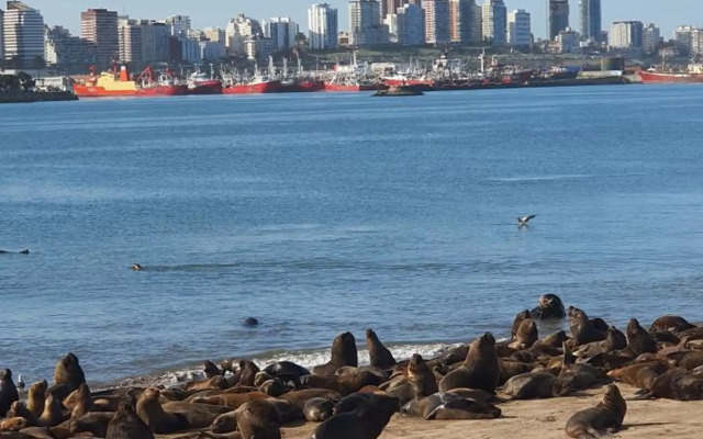 Maral -33- Mi Lugar en el Mundo