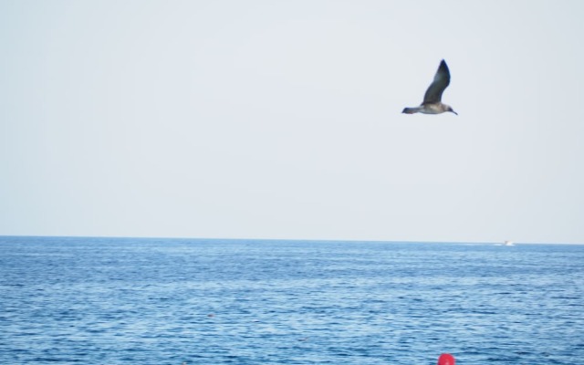 House in Palamós for 9 people