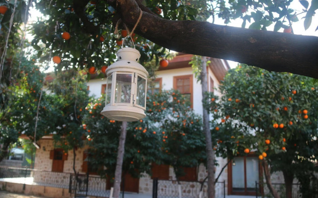 Citrus Garden Hotel