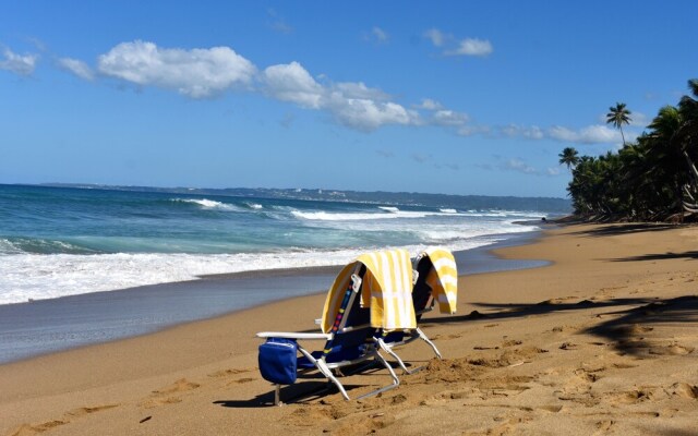 The Beach Pad