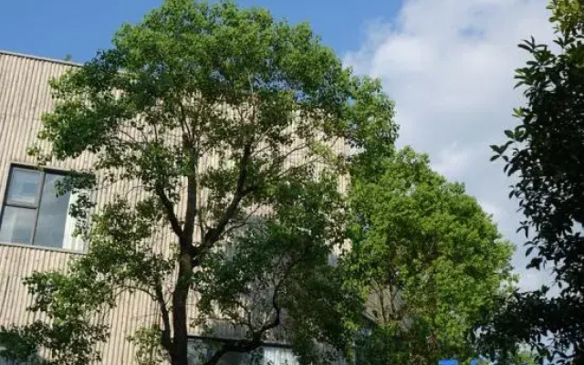 Three logy cafe&craft