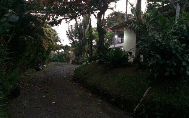 Hotel Brisas Del Volcán Platanar