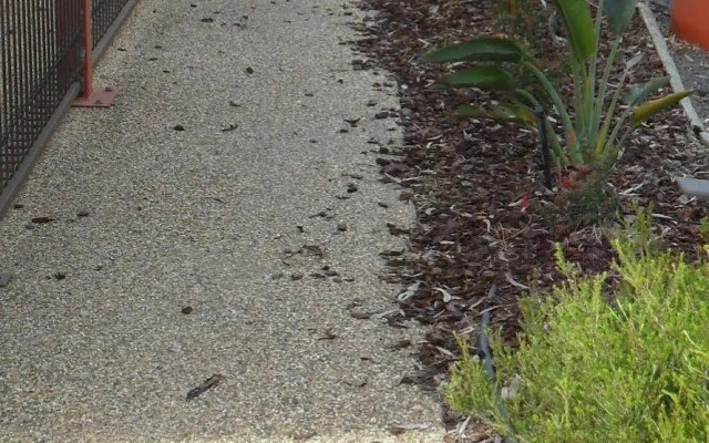 Settlement Motor Inn, Deniliquin