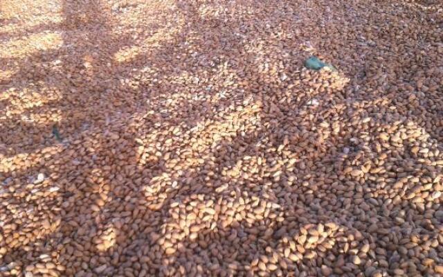 Quintas do Valbom e Cuco