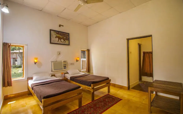 Jungle King Resort