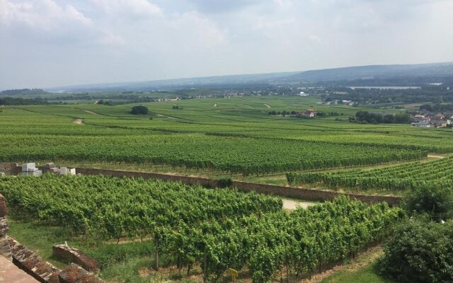 Gästehaus Wohnen im Weingut