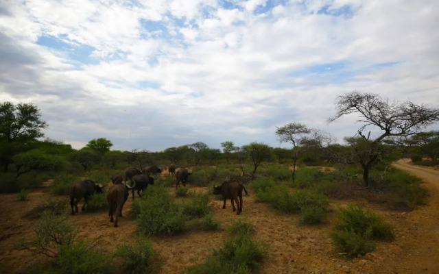 Palala Boutique Game Lodge & Spa