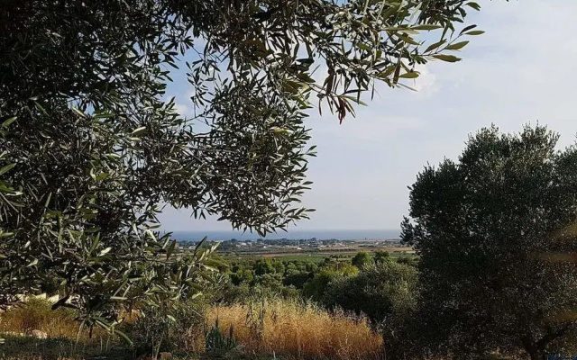 Valle degli Ulivi
