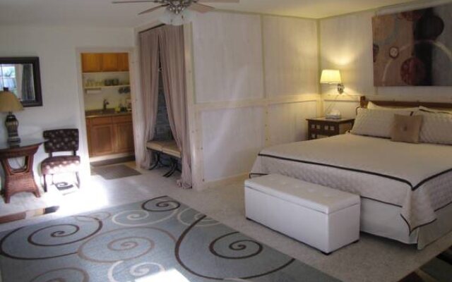 Volcano Fern Forest Retreat