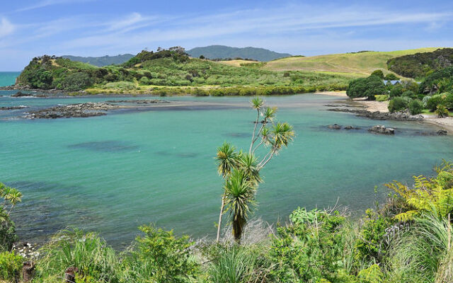 Sanctuary in the Cove