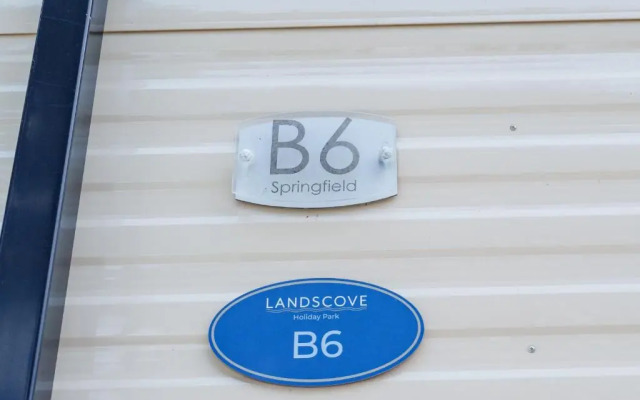 Springfield B6