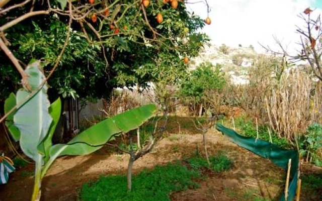Casa Rural de Tío Félix