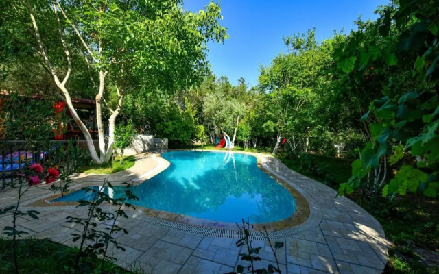 Peaceful Villa With Private Pool and Garden in Fethiye