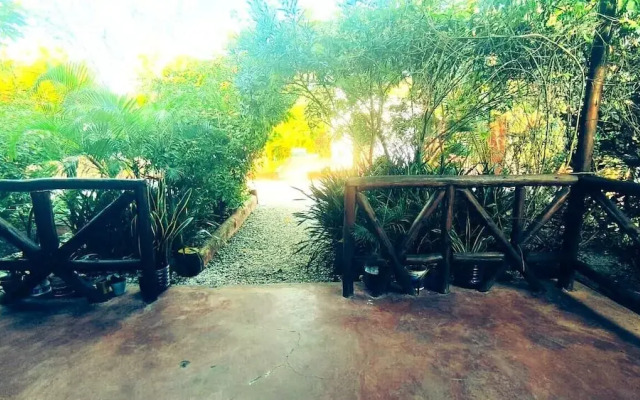zanzllywood hotel and apartments