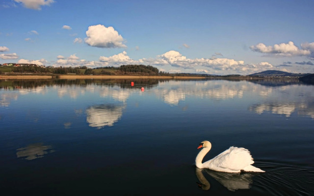 PP-Camping Wallersee