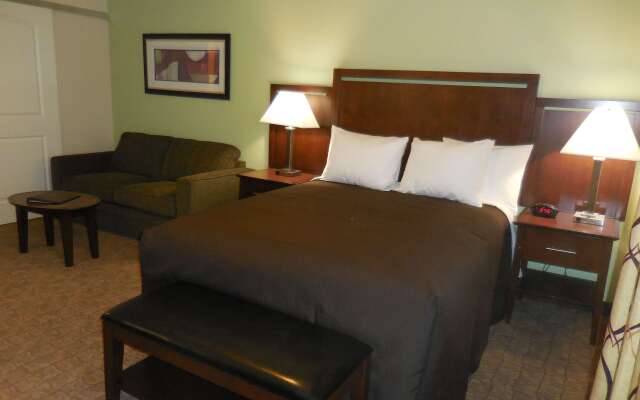 Ledgestone Suites Hotel Elko