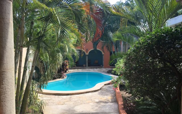 Tranquil Tropical Oasis in the Historic Center