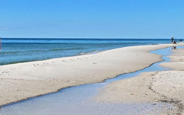 Shoalwater 903 by Youngs Suncoast