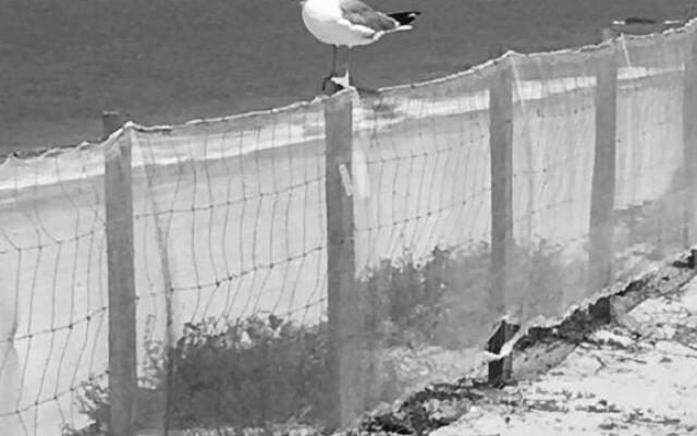 Appartement les Elfes