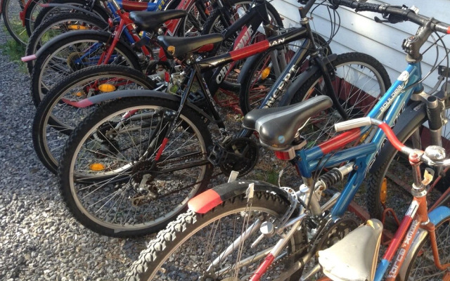 Tallbacken Camping