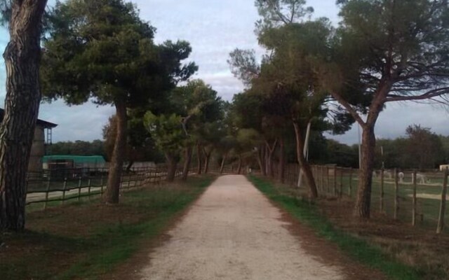 Relais La Roccaccia Universita' Agraria